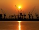 Brasil e Japo reforam dilogo para parceria econmica e comercial